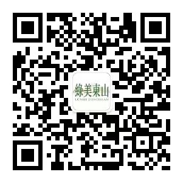 绿美东山 最美一角-公众号